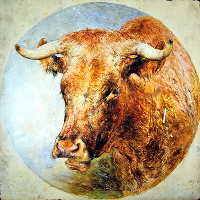 Head of a Longhorn Cow by William Huggins