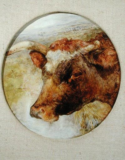 Head of a Longhorn Cow by William Huggins