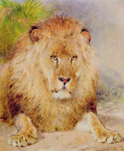Lion by William Huggins