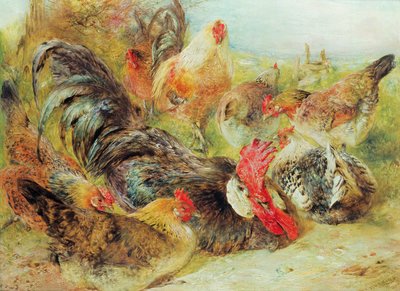 Poultry by William Huggins