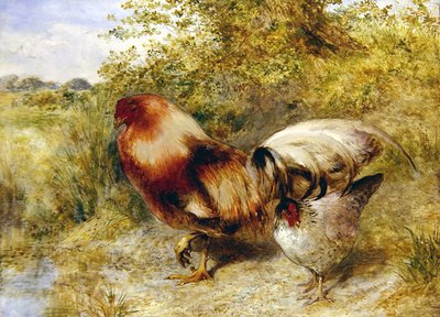 Poultry in a Landscape by William Huggins