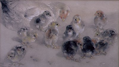 Study of Chickens by William Huggins