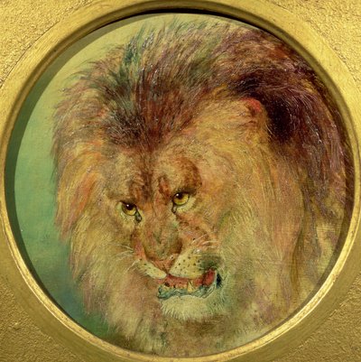 Study of a Lion by William Huggins