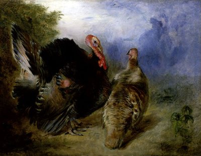 Turkeys by William Huggins