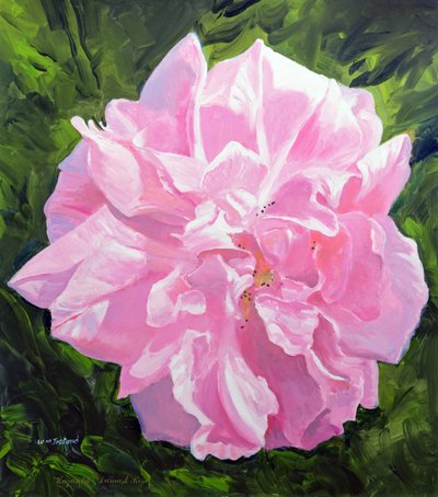 Victorian Rose by William Ireland