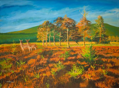 nr. Aviemore, Scotland by William Ireland