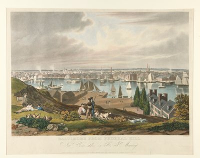 Baltimore From Federal Hill by William James Bennett