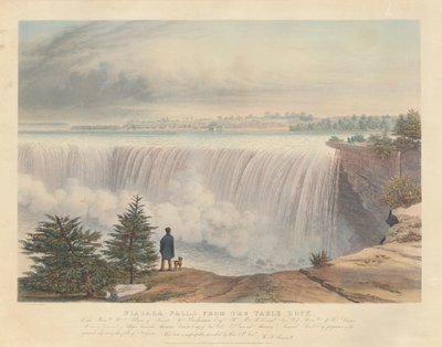 Niagara Falls from the Table Rock by William James Bennett