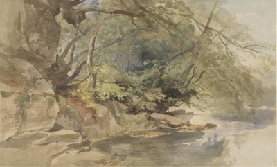 View in Stapleton Wood, near Bristol by William James Muller