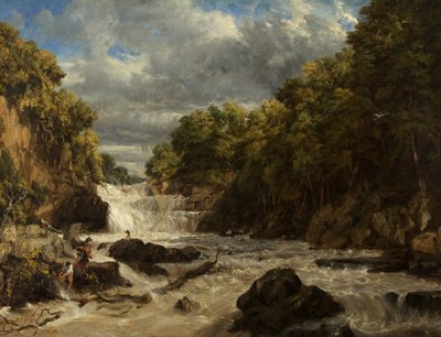 Swallow Falls, Bettws-y-Coed by William James Muller