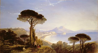 Unknown Image by William James Muller