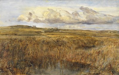 Rhoscolyn, Anglesey by William Joseph J.C. Bond