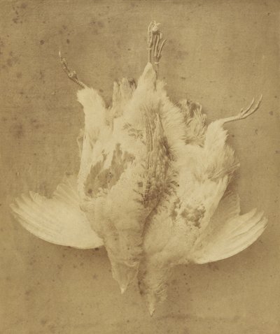 The First of September by William Lake Price