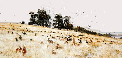 A Rookery by William Lionel Wyllie