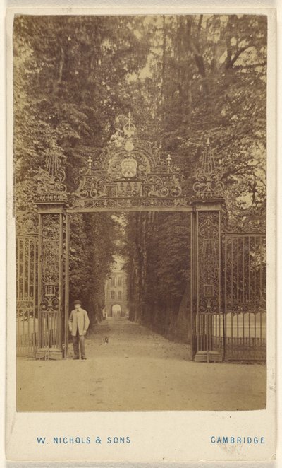 Trinity Cole Avenue by William Nichols and Sons