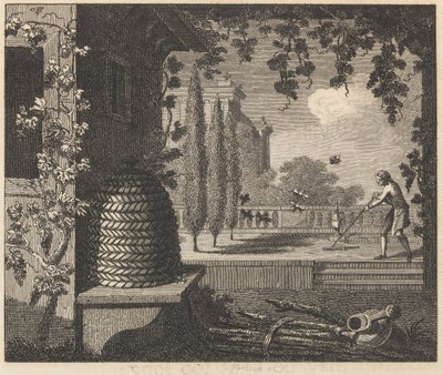 The Degenerate Bees by William Skelton