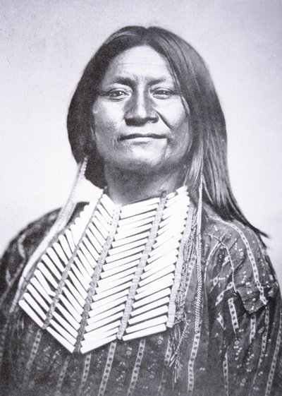 Comanche Tribesman by William Soule