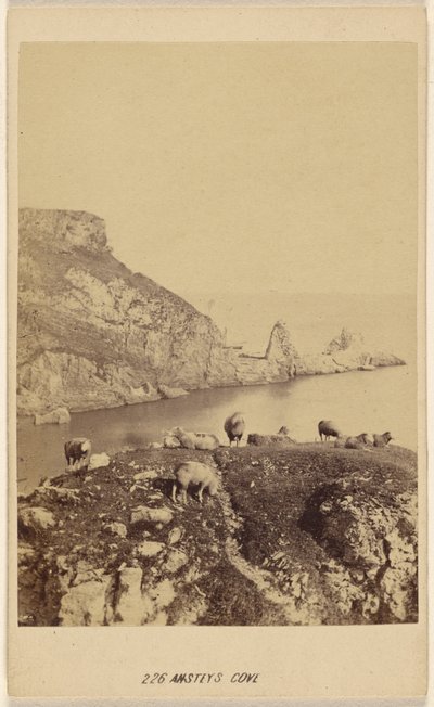 Ansteys Cave by William Spreat