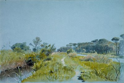Castel Fusano Near Rome by William Stanley Haseltine