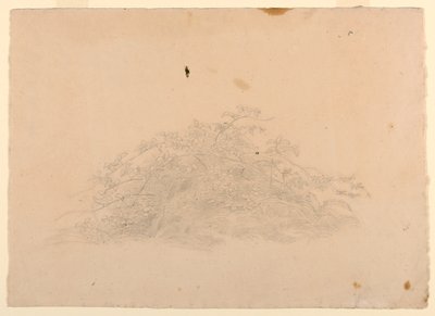 Study of Foliage by William Stanley Haseltine