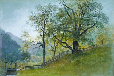 Vahrn in Tyrol Near Brixen by William Stanley Haseltine
