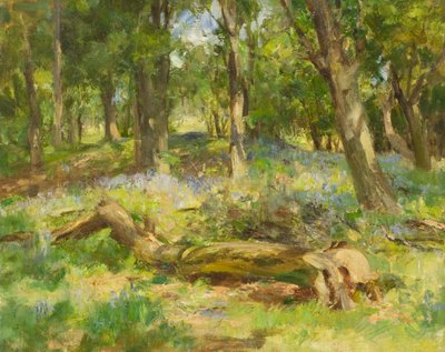 Woodland Scene by William Stewart MacGeorge