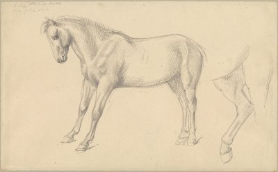 Studies of a Pony by William Strutt