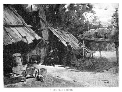 A Bushman