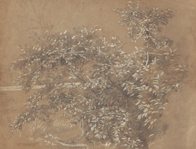 Foliage by William Trost Richards
