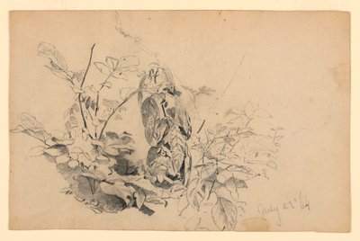 Study of Foliage by William Trost Richards