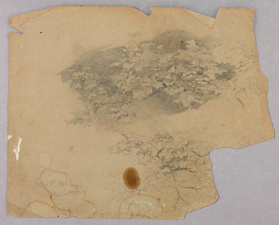 Study of Foliage by William Trost Richards