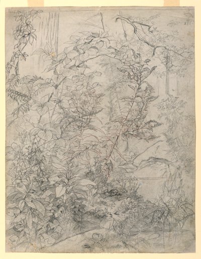 Study of Foliage by William Trost Richards