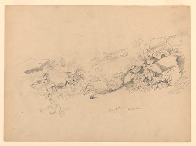 Study of foliage, Trachselwald, Bern, Switzerland by William Trost Richards