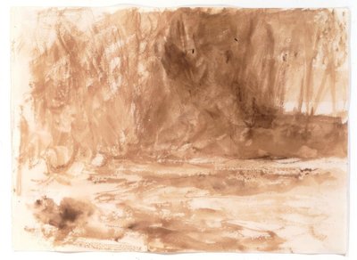 Study on the River Washburn, Yorkshire by Joseph Mallord William Turner