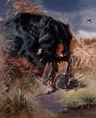 Gordon Setter Among Reeds by William Woodhouse