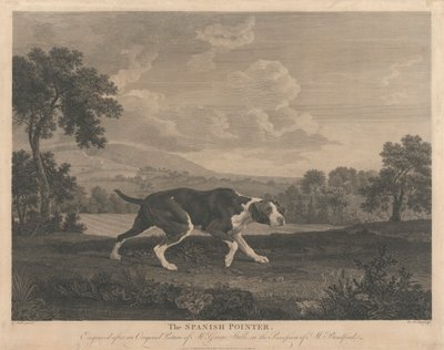 The Spanish Pointer by William Woollett