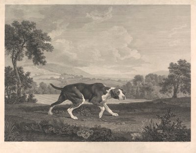 The Spanish Pointer by William Woollett