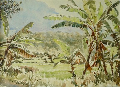 740 Banana Trees, Ramboda by Wilson Clive