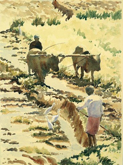 Preparing the paddy field by Wilson Clive