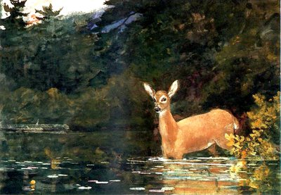 A Doe, 1889 by Winslow Homer
