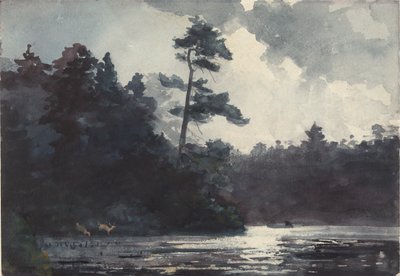 Adirondack Lake by Winslow Homer