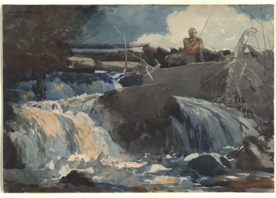 Casting in the Falls by Winslow Homer