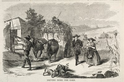 Driving Home the Corn by Winslow Homer