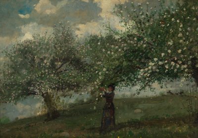 Girl Picking Apple Blossoms by Winslow Homer