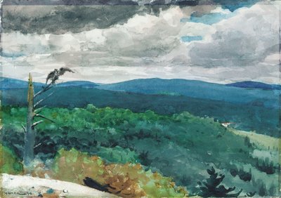 Hilly Landscape by Winslow Homer