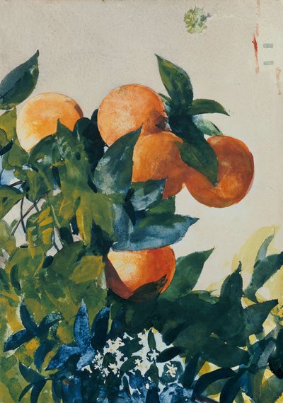 Oranges on a Branch by Winslow Homer
