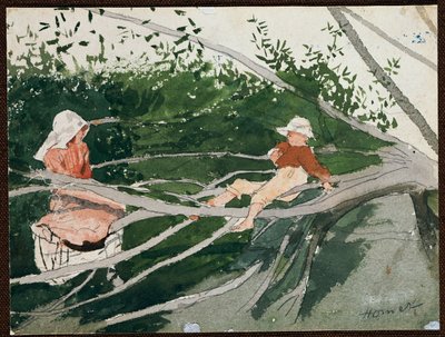 Out on a Limb by Winslow Homer