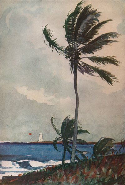 Palm Trees, Nassau by Winslow Homer