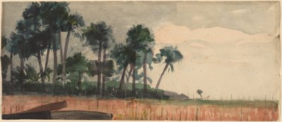 Palm Trees, Red by Winslow Homer