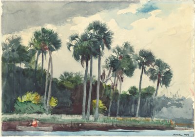Red Shirt, Homosassa, Florida by Winslow Homer